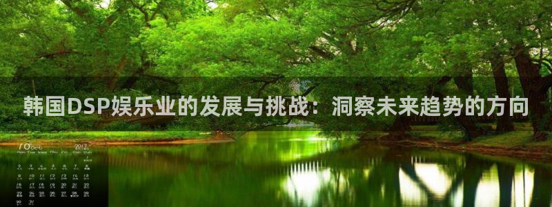 门徒平台登录入口官网注册：韩国DSP娱乐业的发展与挑战：洞察未来趋势的方向